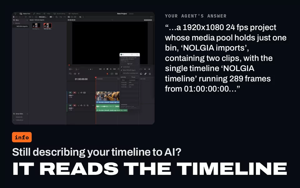 Still describing your timeline to AI? It reads the timeline: DaVinci Resolve beside the agent's answer, a 1920x1080 24 fps project with one bin and a 289 frame timeline.