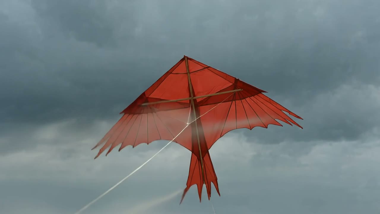 Example made with HappyHorse 1.0: A red kite snaps taut and climbs against low grey cloud over an empty beach, the camera tilting up to follow it, wind-driven sand streaming across…