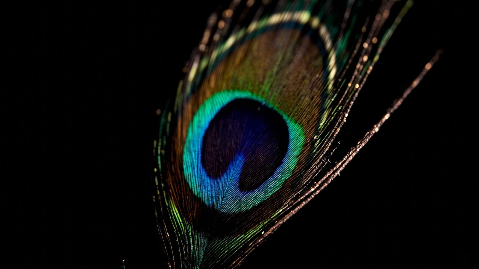 Example made with High Fidelity: